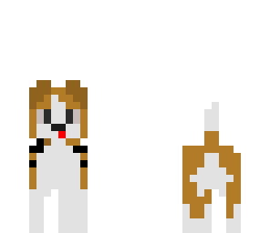 cute beagle