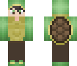 boy turtle 