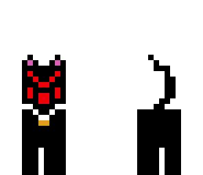 spider cat 