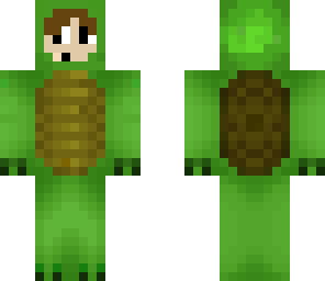turtle costume