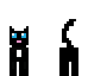 kitty cat