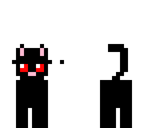 black cat