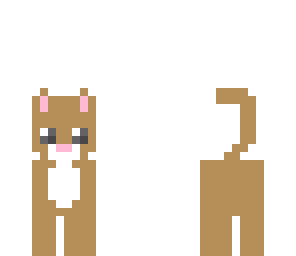 brown kitty