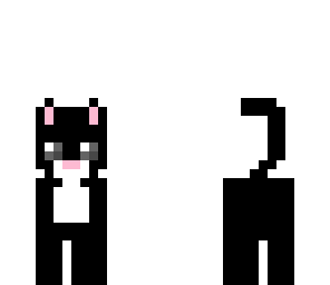 black cat