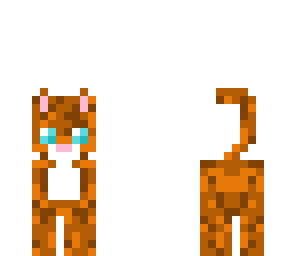 cute kitten