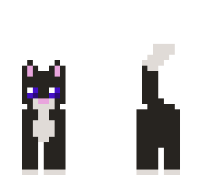 black cat