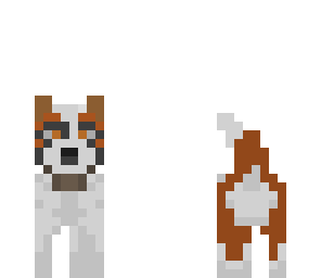 saintbernard