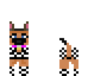 stylish dog