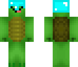 turtlehelmet