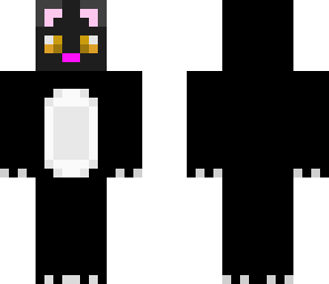 kitty cat