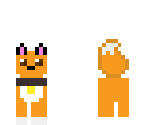 cute fox
