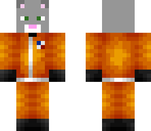space cat