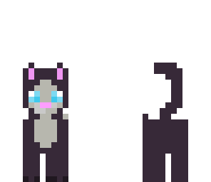 cute cat