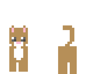 brown cute cat