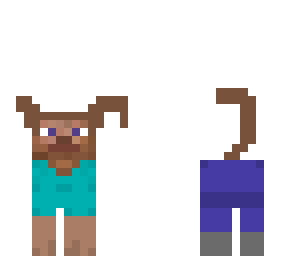 doggy steve
