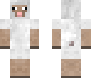 sheep