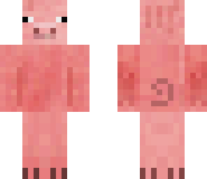 pig