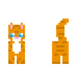 kitty