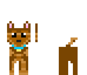 cute dog