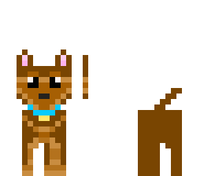 cute dog 2