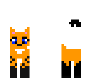 orange cat