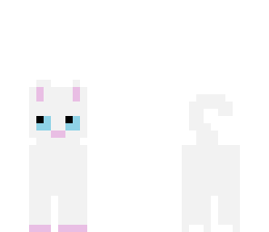 kitty bay