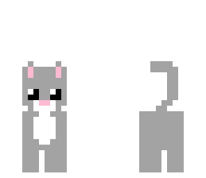 grey cat