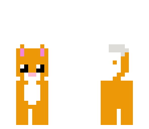 tabby cat