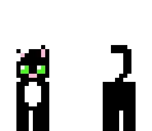 black cat
