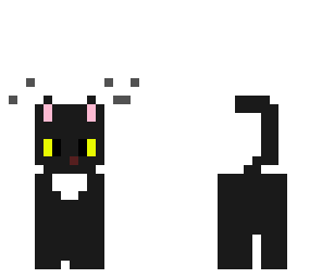 halloween black cat