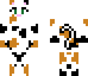 fixed skin