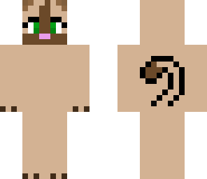 a warrior cat
