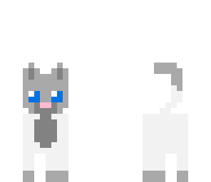 posh cat