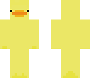 duck plain