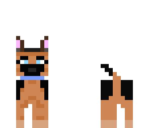 dog 2
