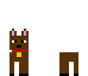 brown puppy
