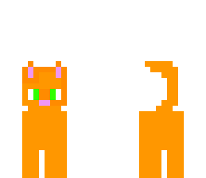ginger kitty
