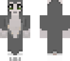grey cat