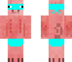 ninja pig