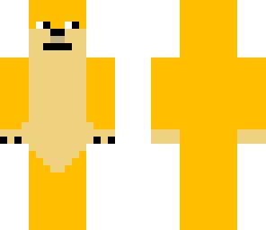 doge in minecraft