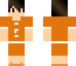 niyel pro 