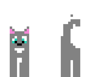 gray kitten
