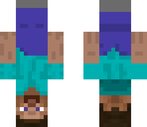 uppsidedown steve