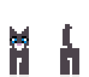 cat grey