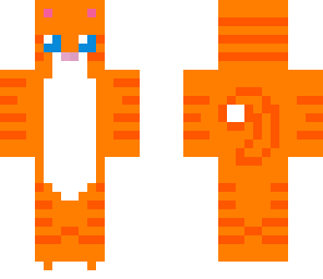 orange cat