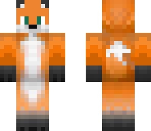 boy fox other
