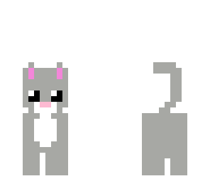 my cat