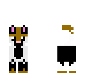 calico cat