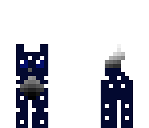 midnight cat