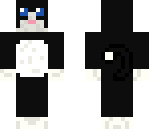 kitty cat
